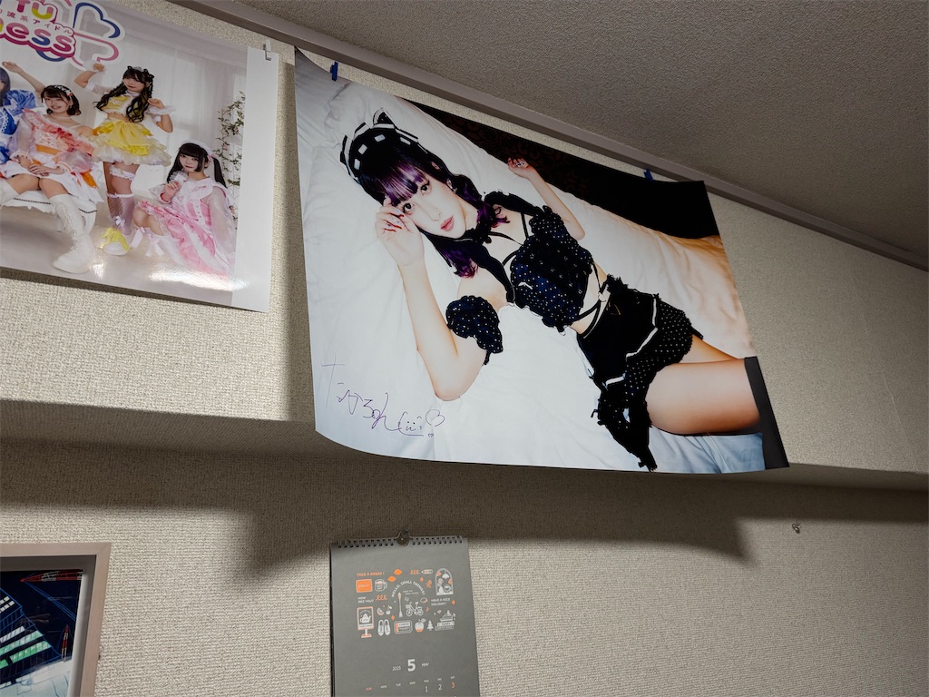 f:id:tkgtij:20250531200810j:image