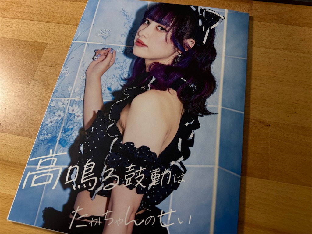 f:id:tkgtij:20250531201550j:image
