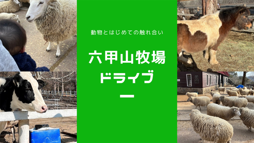 f:id:tkh0707:20250503154704p:image