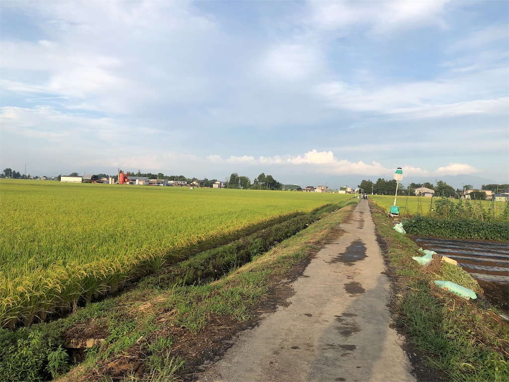 f:id:tkhsblog:20190901141544j:image