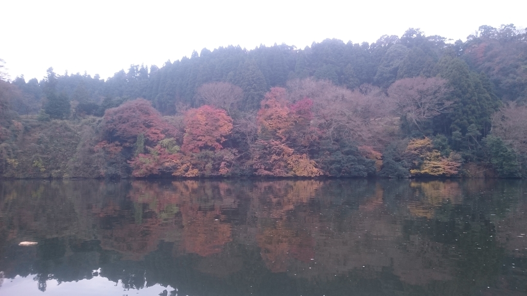 f:id:tkjagal:20181224104859j:plain