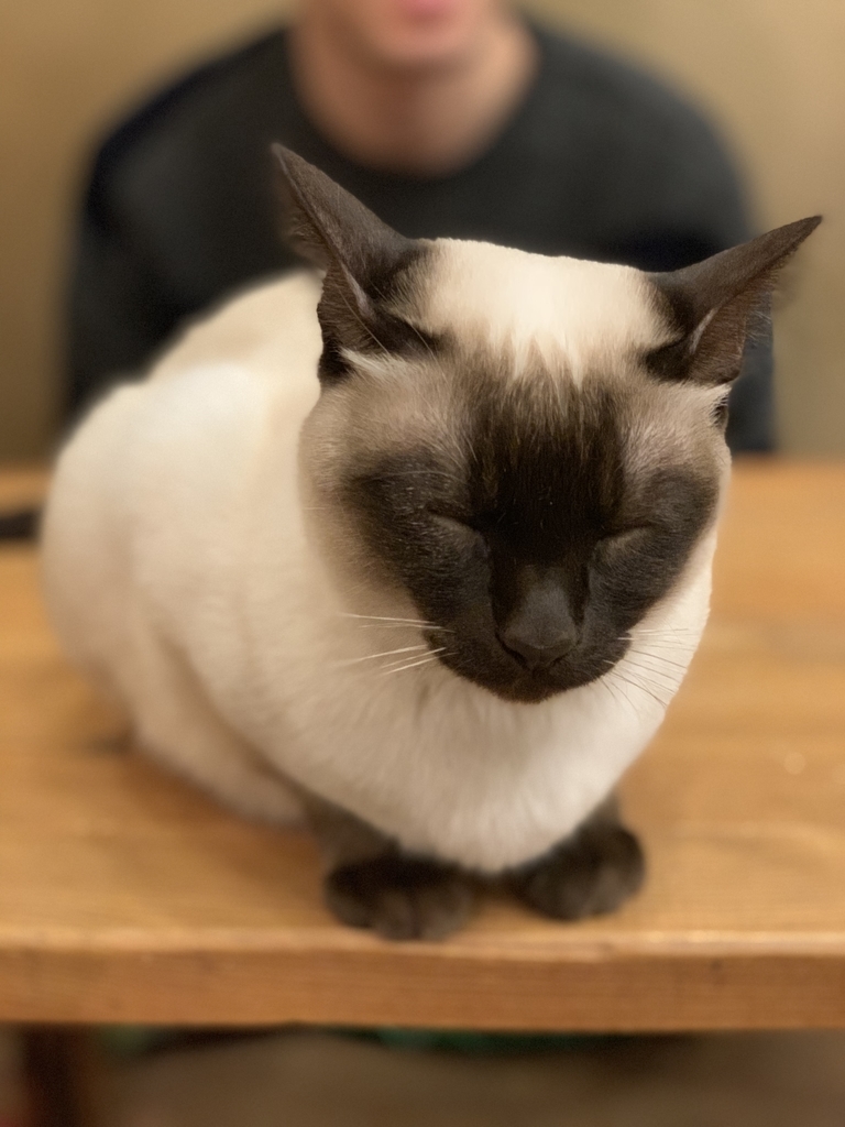f:id:tkm03:20190126174516j:plain f:id:tkm03:20190126174516j:plain