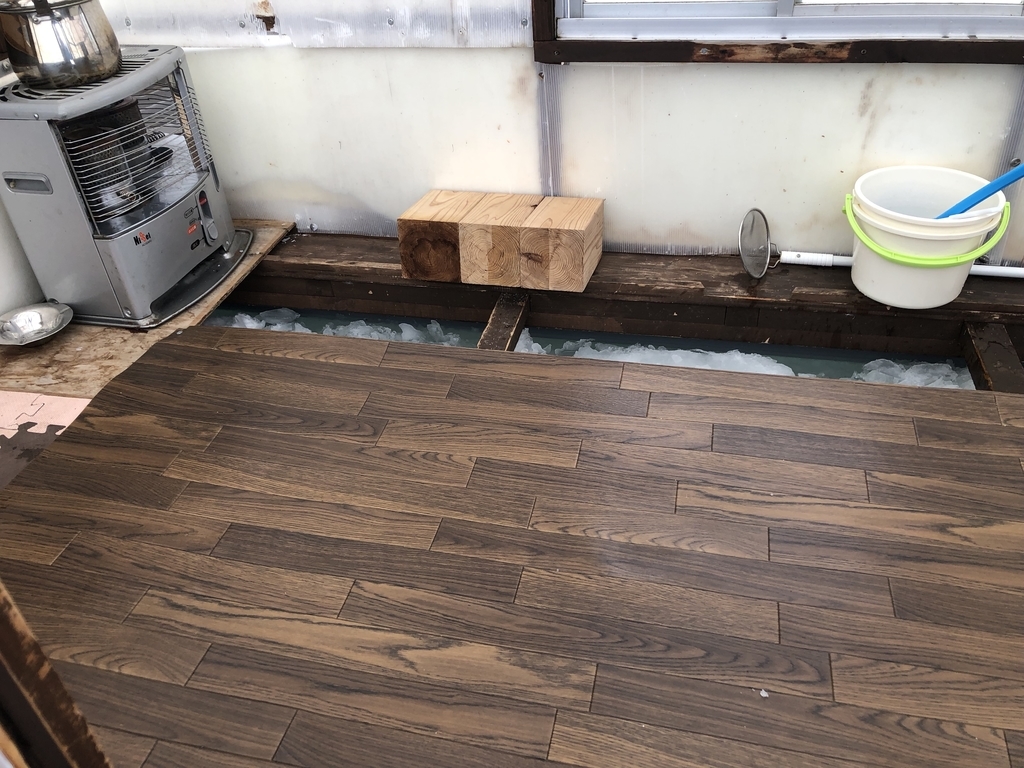 f:id:tkman1029:20190216134426j:plain