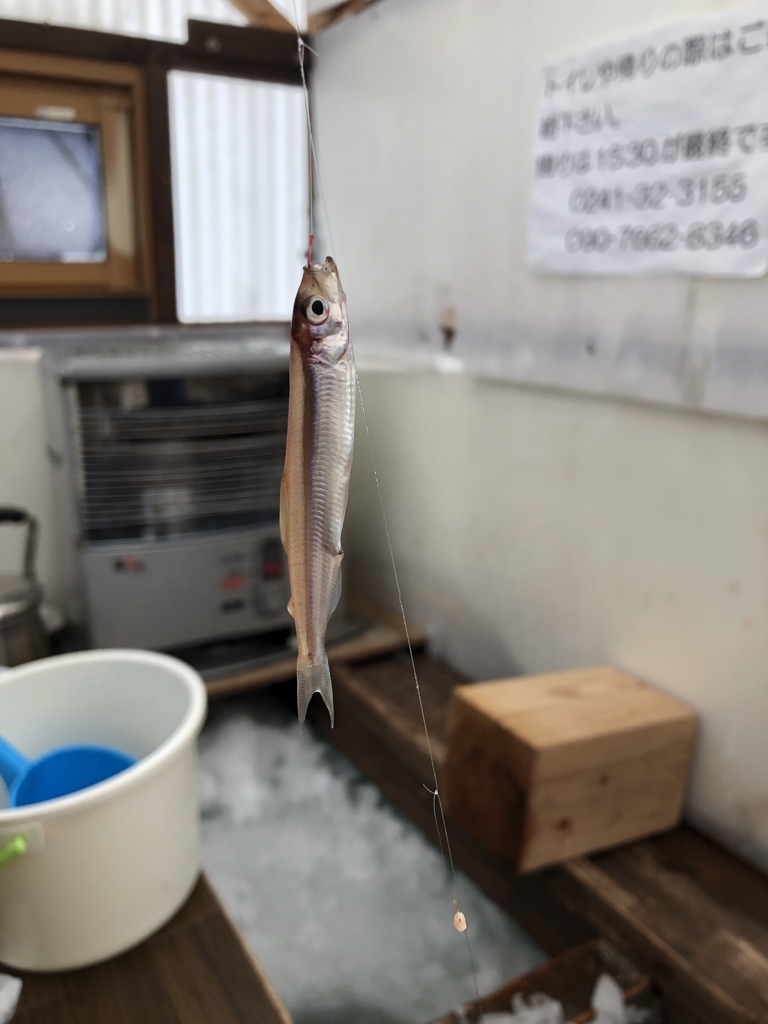 f:id:tkman1029:20190216135332j:plain