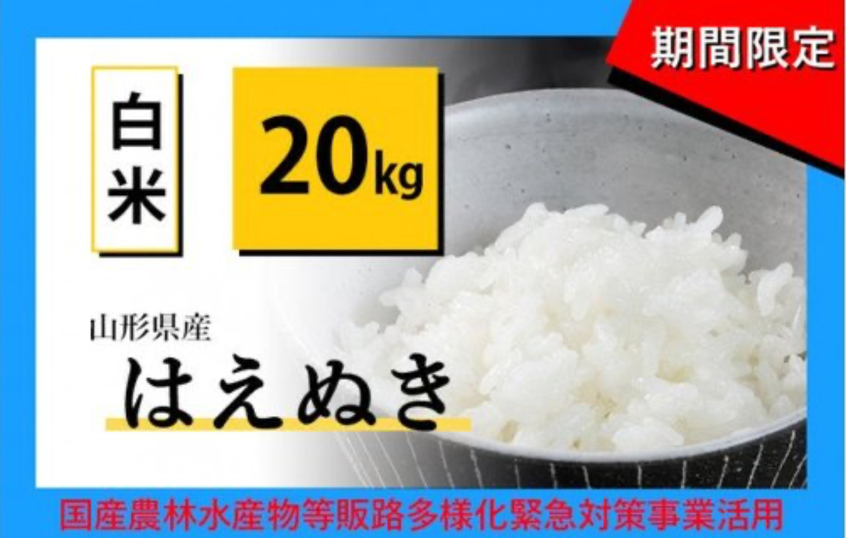市場 ふるさと納税 ジャージーゴールデンミルク 定期便 2022年8月発送開始 市場 ふるさと納税 ジャージーゴールデンミルク 定期便 2022年8月発送開始
