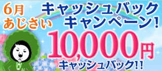lion ajisai 201606.png