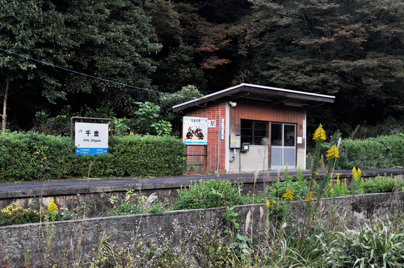 f:id:tkmov:20151111003537j:image:w360