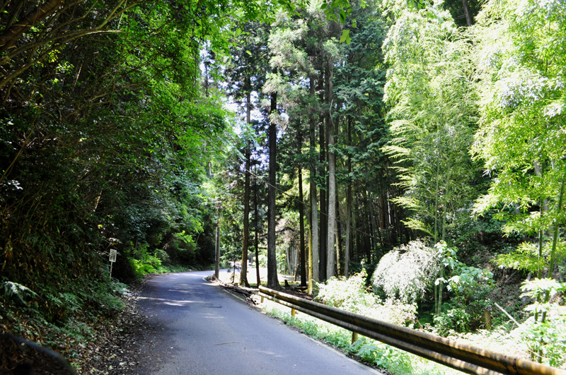 f:id:tkmov:20160619000902j:plain