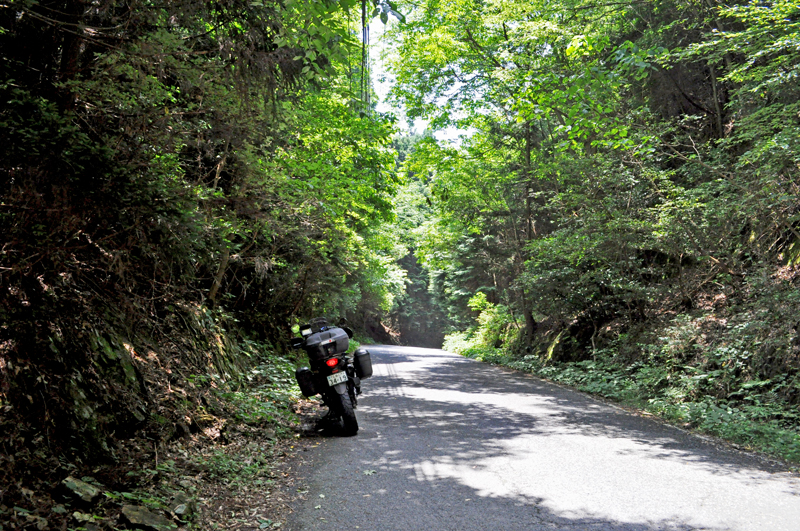 f:id:tkmov:20160619000905j:plain