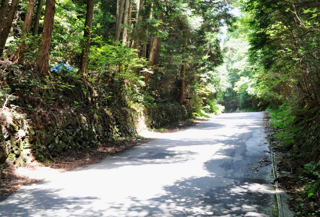 f:id:tkmov:20160619001701j:plain