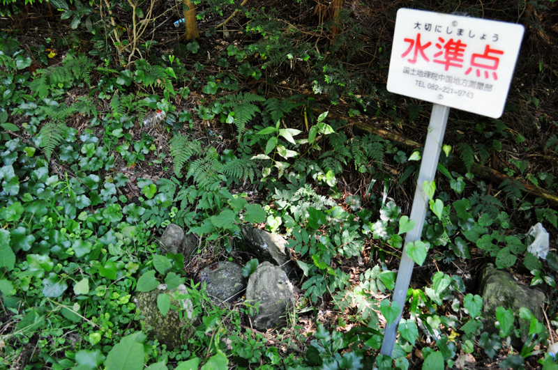 f:id:tkmov:20160619001908j:plain