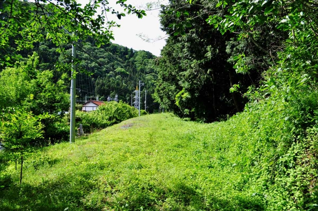 f:id:tkmov:20180522004708j:plain