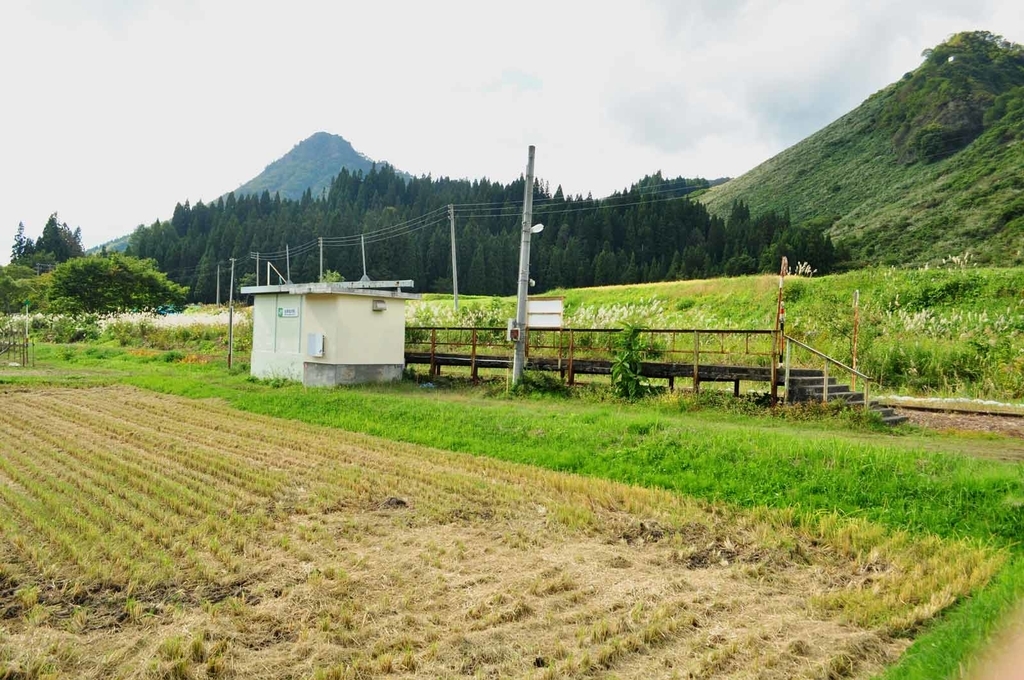 f:id:tkmov:20181130003758j:plain