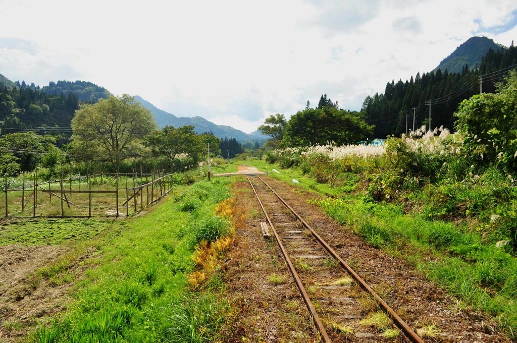 f:id:tkmov:20181130005004j:plain