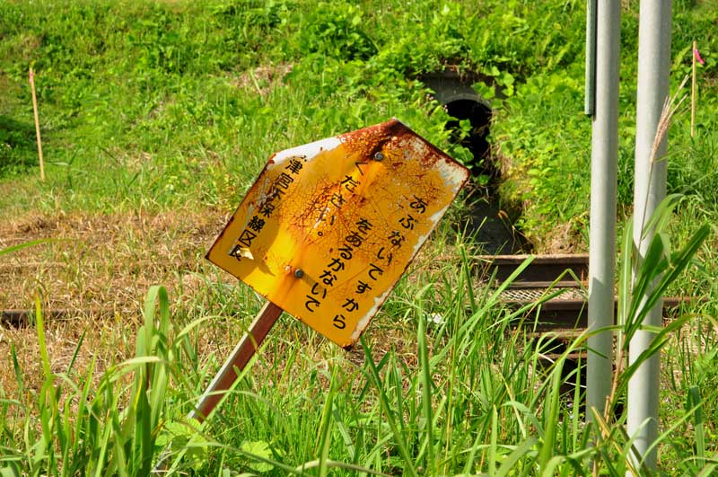 f:id:tkmov:20181130005712j:plain