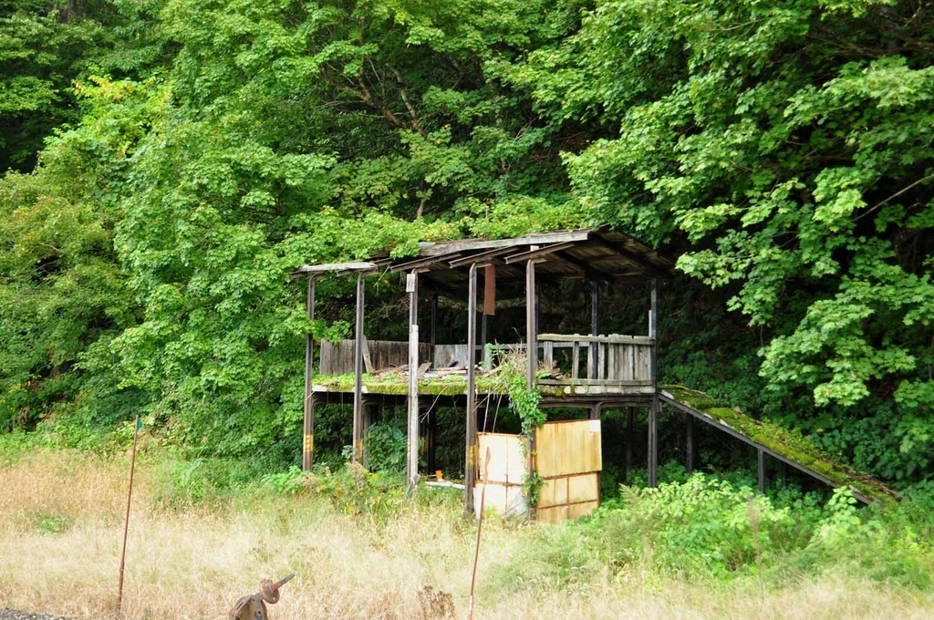 f:id:tkmov:20181205231646j:plain f:id:tkmov:20181205231646j:plain