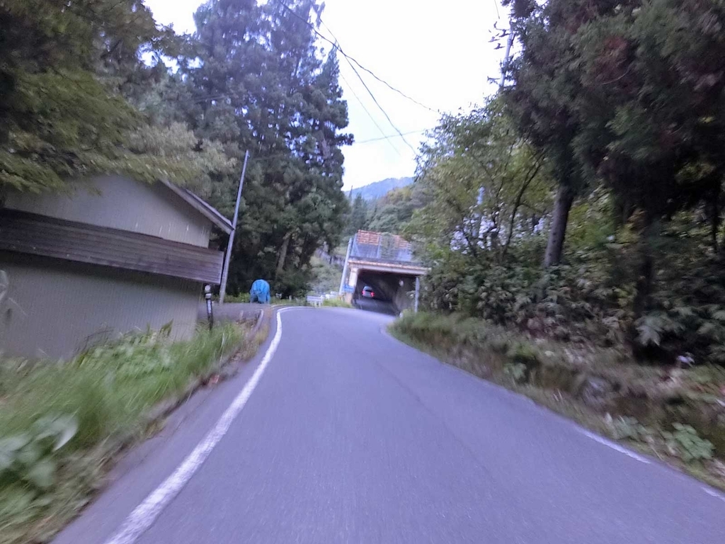 f:id:tkmov:20181214010659j:plain f:id:tkmov:20181214010659j:plain