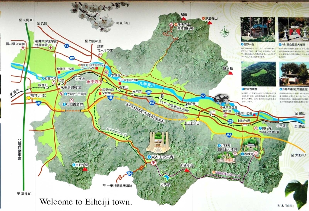 f:id:tkmov:20190104234745j:plain