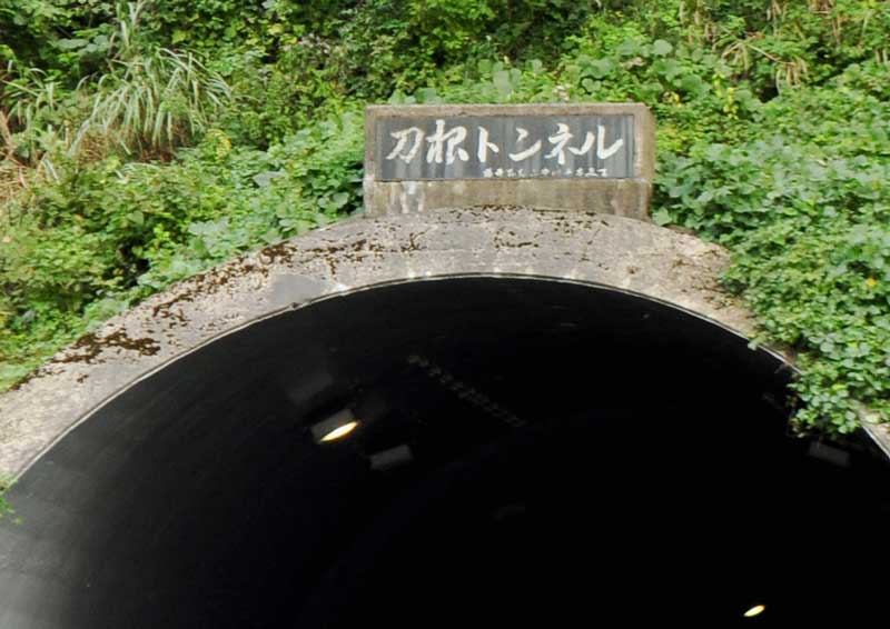 北陸本線 沿線 旧柳ヶ瀬線 Tkmov バイクとローカル線と