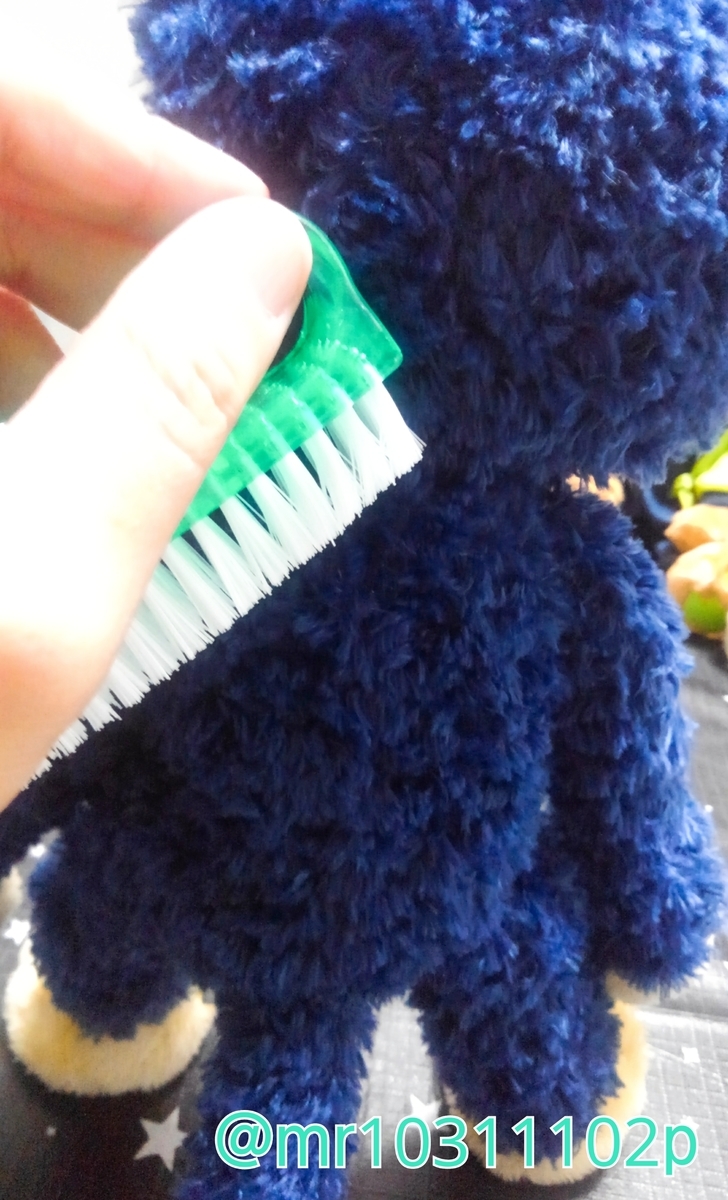 プリンスキャットにトイスケルトンを入れた記録 篁の日記 プリンスキャットにトイスケルトンを入れた記録 篁の日記