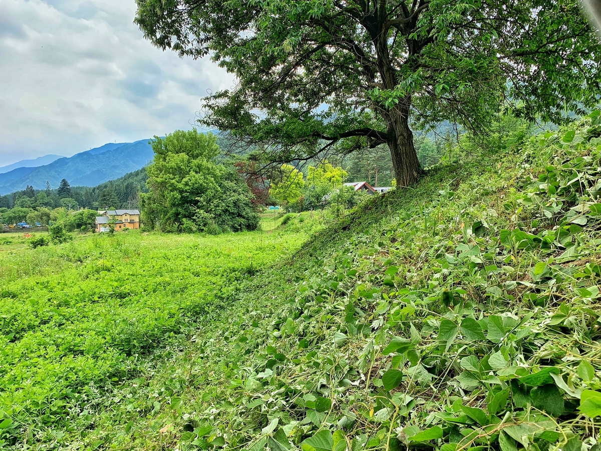 f:id:tkms420:20190623120550j:plain f:id:tkms420:20190623120550j:plain