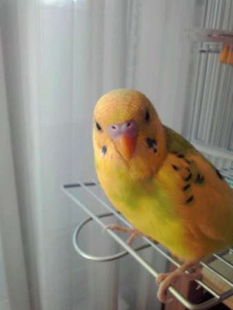 f:id:tkobatp:20101204144552j:image f:id:tkobatp:20101204144552j:image
