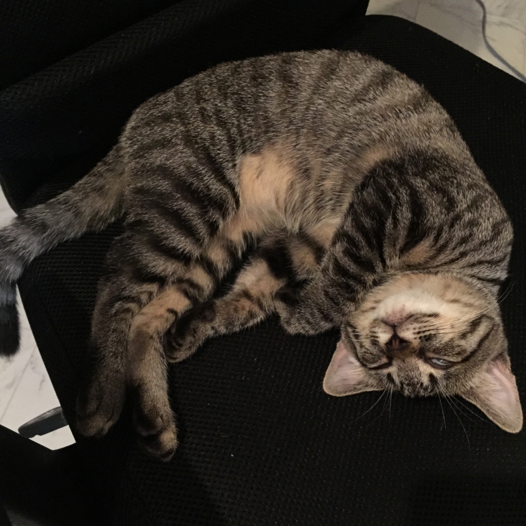 f:id:tkosuga:20150808180343j:plain f:id:tkosuga:20150808180343j:plain