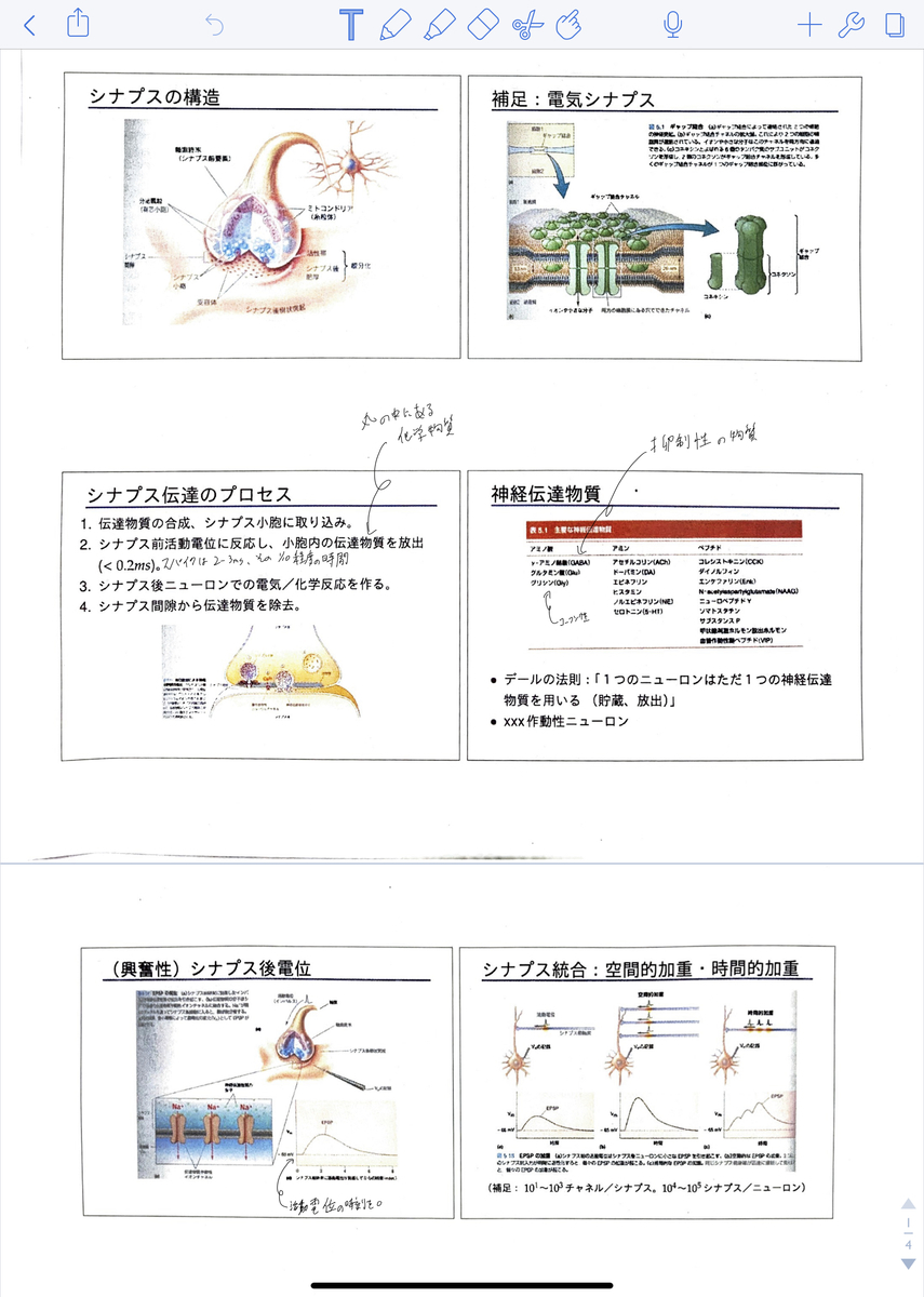 f:id:tkr1205:20191204233319j:plain f:id:tkr1205:20191204233319j:plain