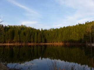 f:id:tksfsk:20171109223908j:plain f:id:tksfsk:20171109223908j:plain