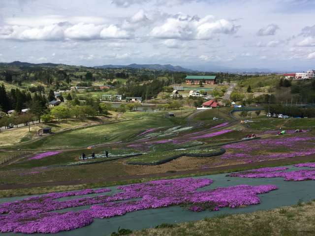 f:id:tksfsk:20180408193107j:plain f:id:tksfsk:20180408193107j:plain