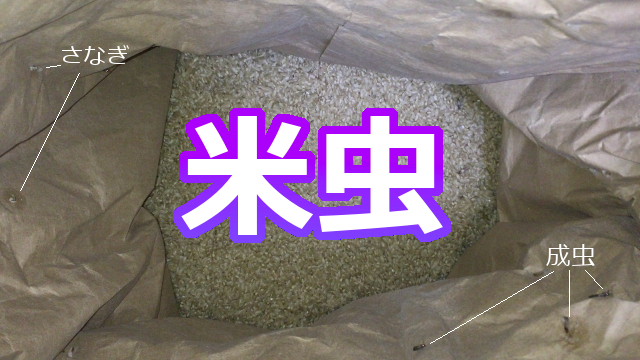 f:id:tksfsk:20180924122736j:plain f:id:tksfsk:20180924122736j:plain