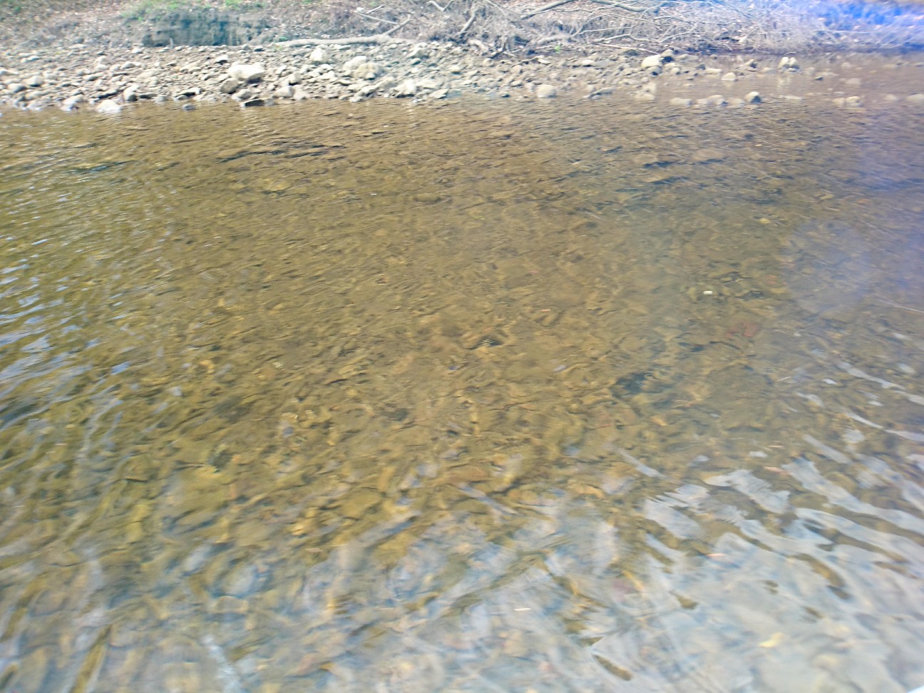 f:id:tktk1983:20190505000041j:image f:id:tktk1983:20190505000041j:image