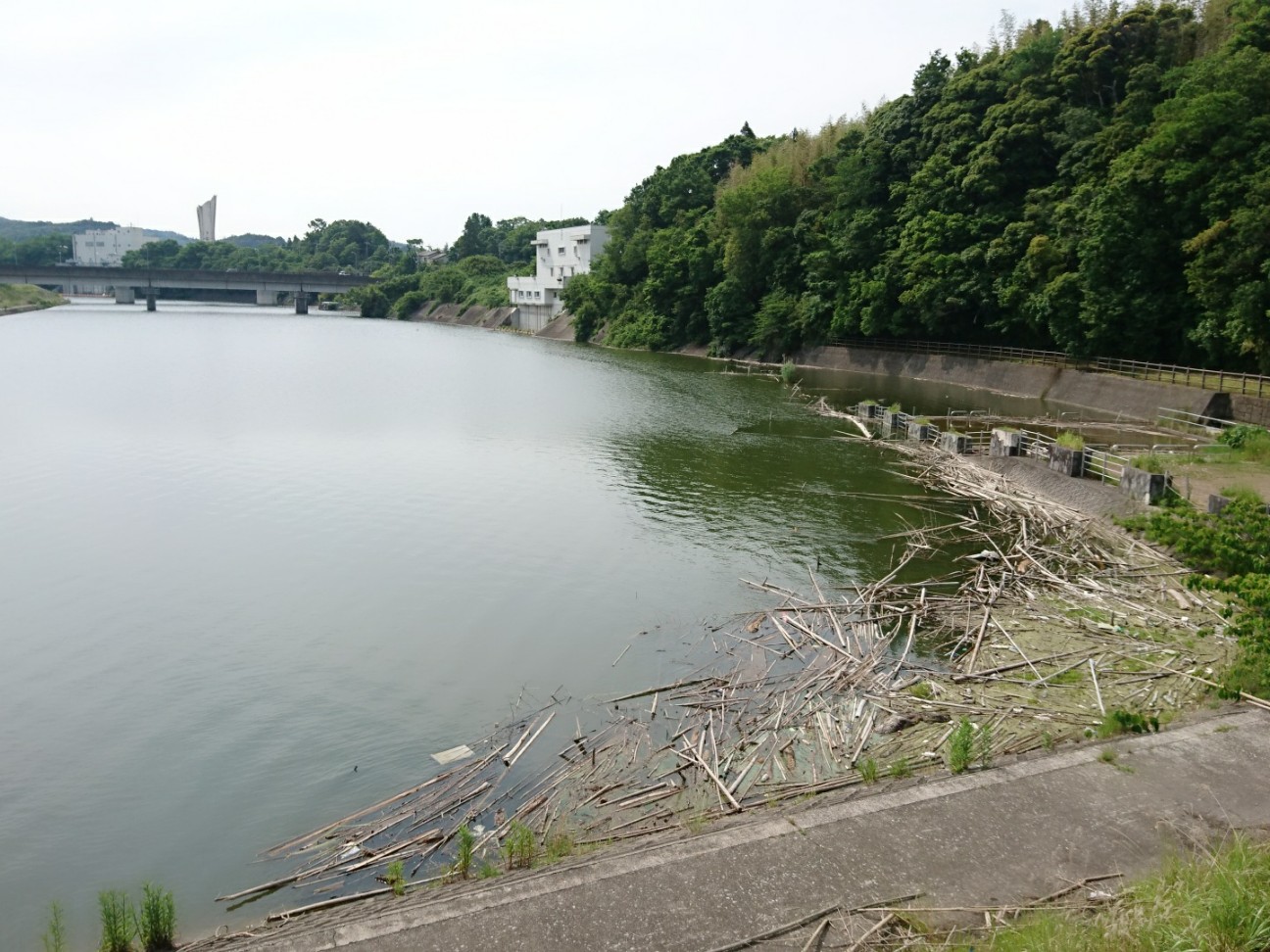 f:id:tktk1983:20190603050139j:image f:id:tktk1983:20190603050139j:image