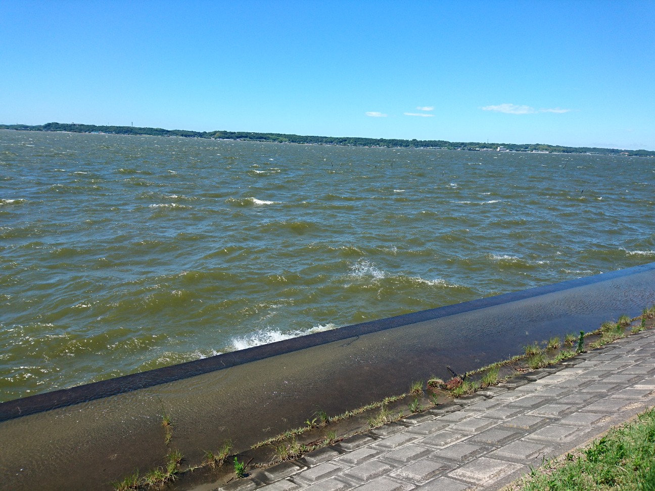 f:id:tktk1983:20190617145533j:image f:id:tktk1983:20190617145533j:image