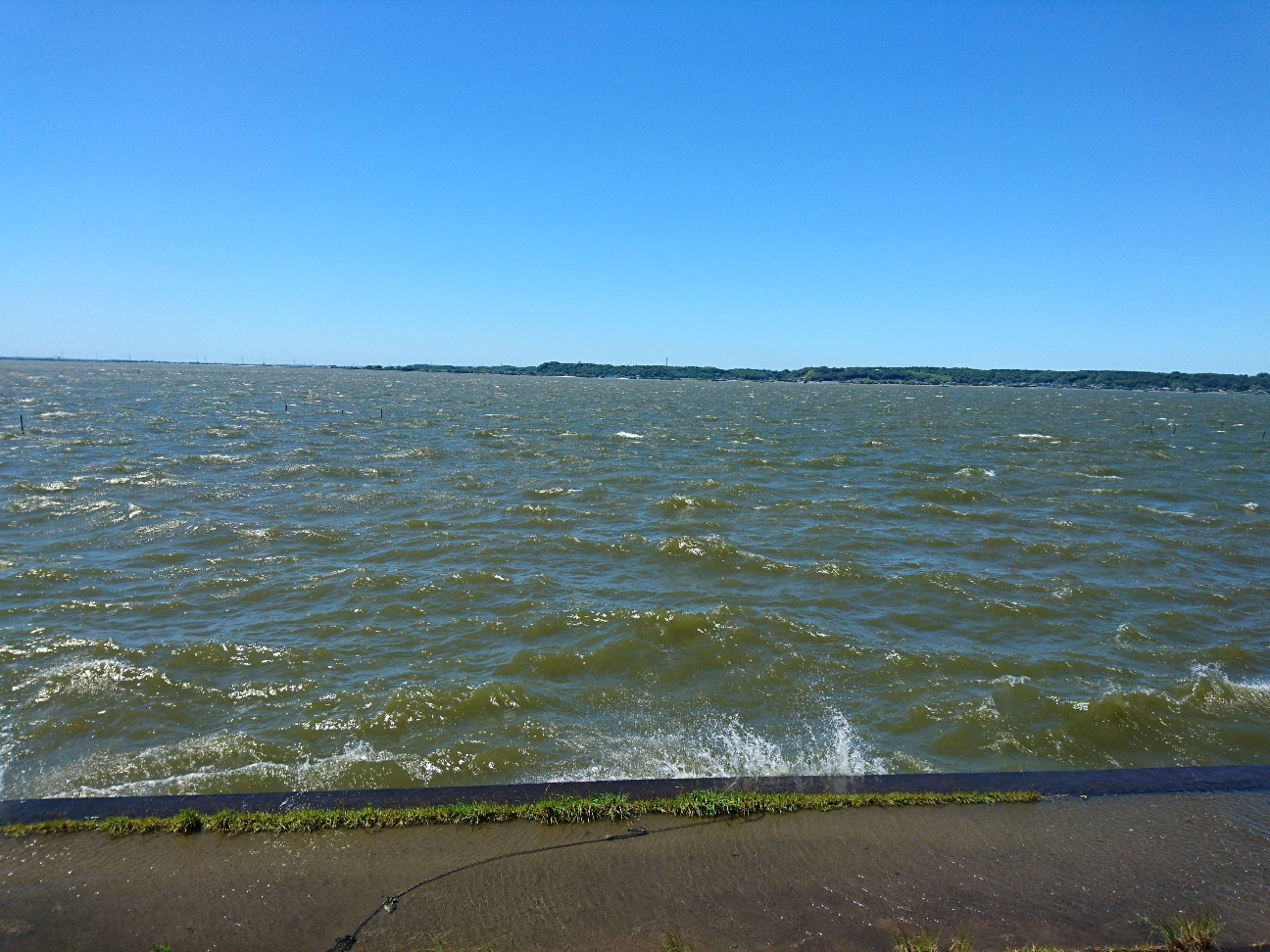 f:id:tktk1983:20190617145550j:image f:id:tktk1983:20190617145550j:image