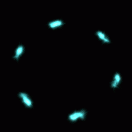 f:id:tktknkyo:20171231081432g:plain f:id:tktknkyo:20171231081432g:plain