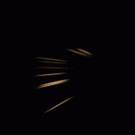 f:id:tktknkyo:20171231082344g:plain f:id:tktknkyo:20171231082344g:plain