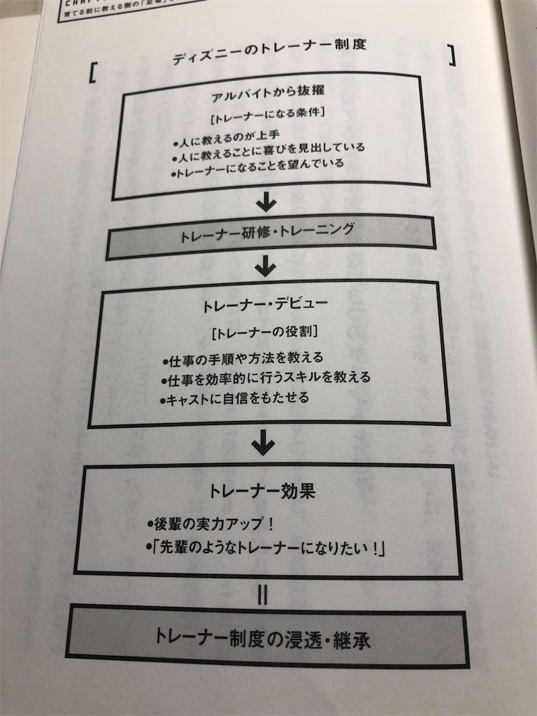 ディズニーの教育part3 一般大学生の学生日記