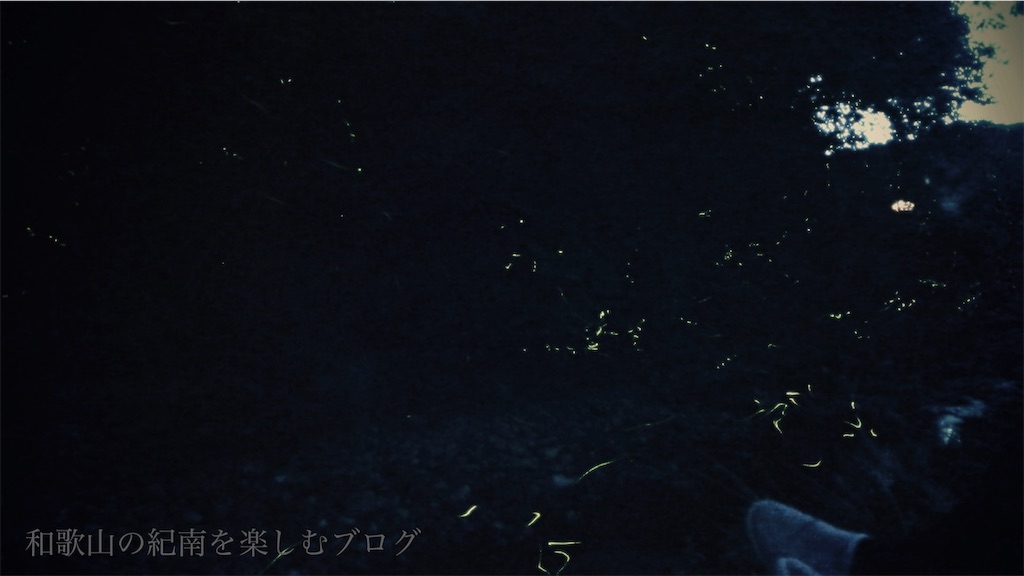 f:id:tkumijapan:20190524093032j:image f:id:tkumijapan:20190524093032j:image