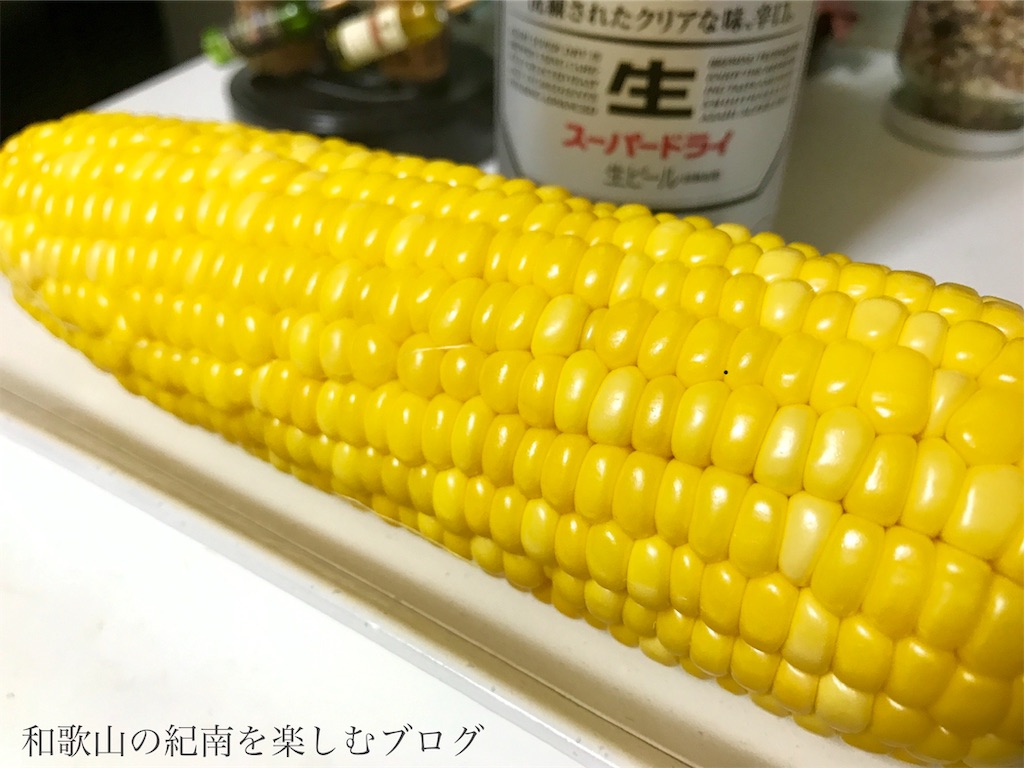 f:id:tkumijapan:20190608145938j:image f:id:tkumijapan:20190608145938j:image