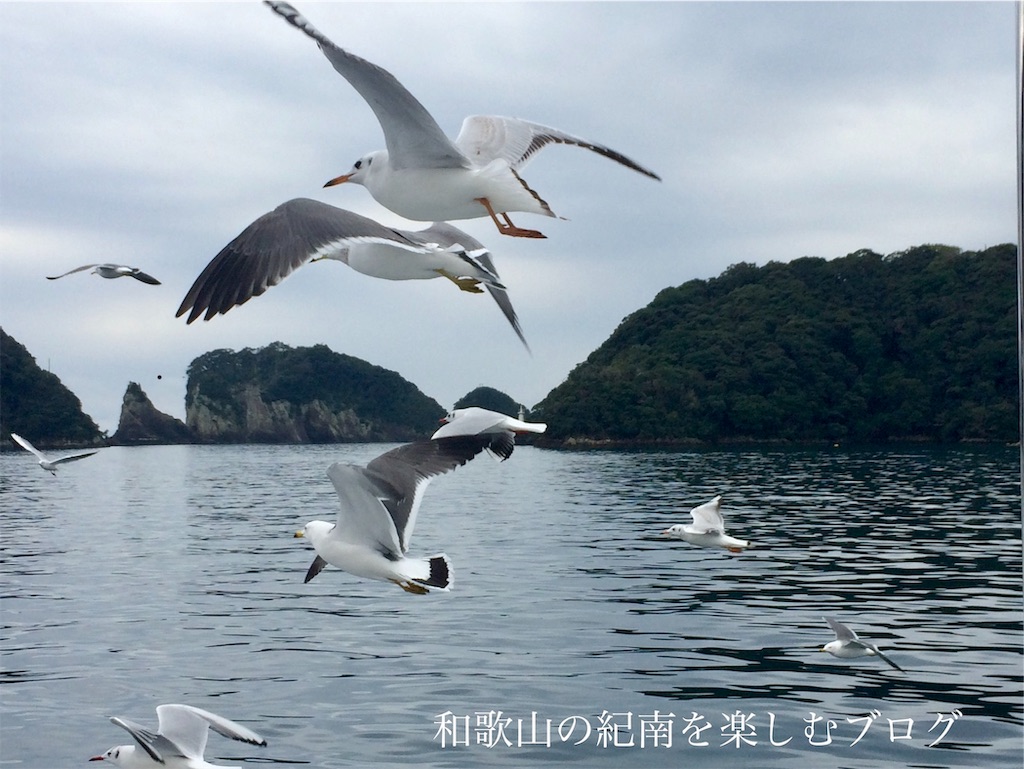 f:id:tkumijapan:20190909233659j:image 那智勝浦 紀の松島観光船 かもめ(1)
