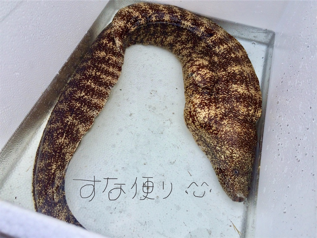 f:id:tkumijapan:20201026173953j:image f:id:tkumijapan:20201026173953j:image
