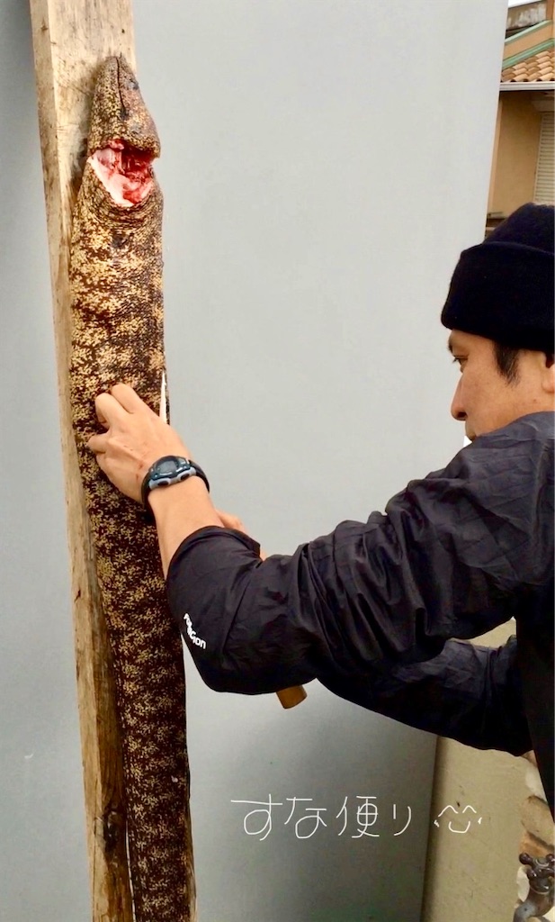 f:id:tkumijapan:20201026174229j:image f:id:tkumijapan:20201026174229j:image
