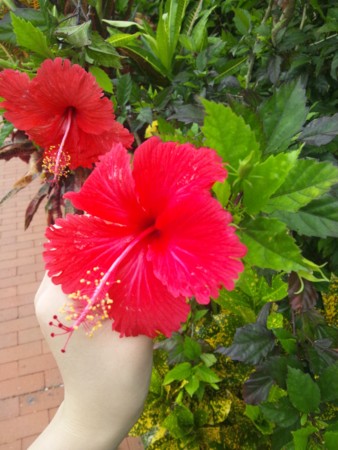 f:id:tkvan8k:20120615212713j:image