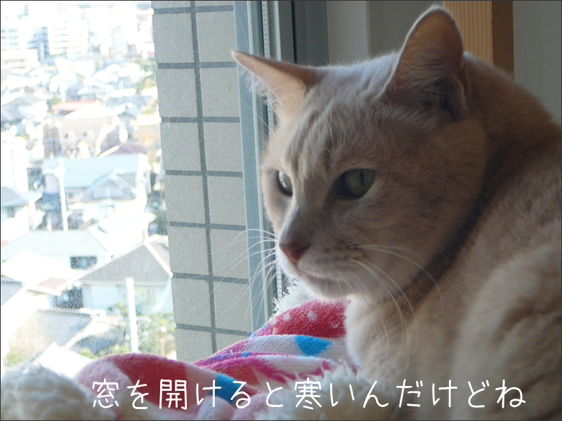 f:id:tkx-kawaba:20210104002139p:plain