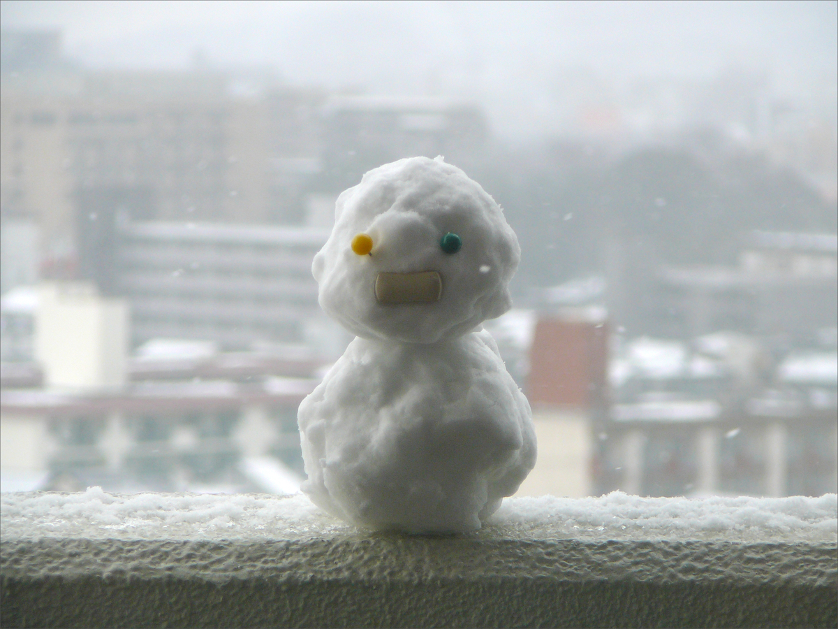 f:id:tkx-kawaba:20210113221828j:plain
