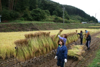 f:id:tky-a:20091002103953j:image