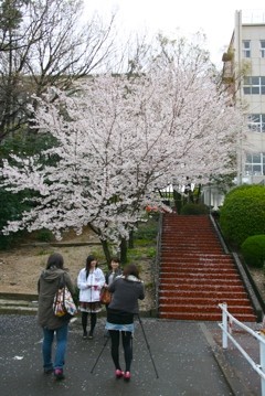 f:id:tky-a:20100402092307j:image f:id:tky-a:20100402092307j:image
