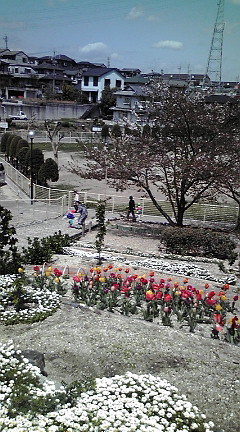 f:id:tky-a:20100414111445j:image f:id:tky-a:20100414111445j:image