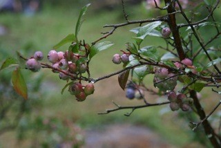 f:id:tky-a:20100714141955j:image f:id:tky-a:20100714141955j:image